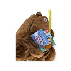 Stuffies Bravo the Bear with Book & Stickers NWT